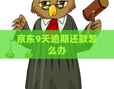 京东9天逾期还款怎么办