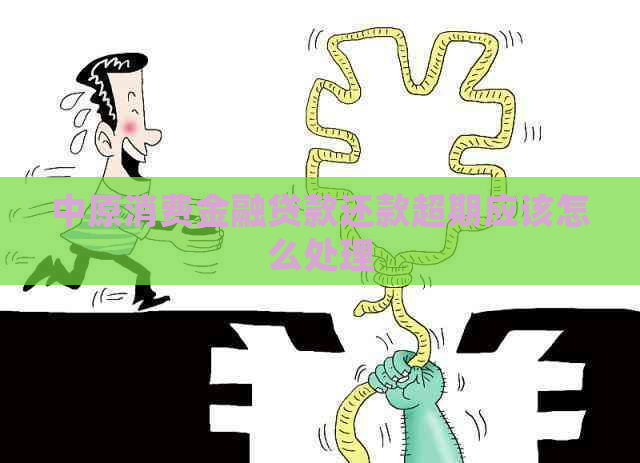 中原消费金融贷款还款超期应该怎么处理