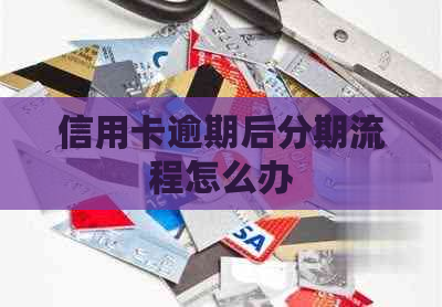 信用卡逾期后分期流程怎么办