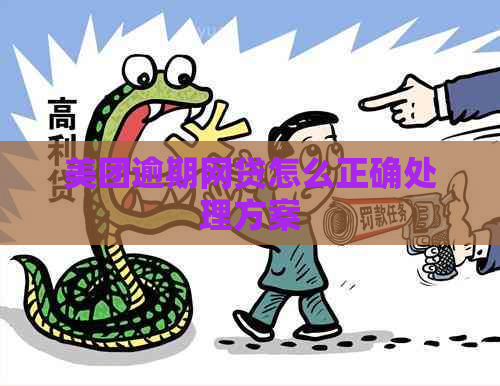 美团逾期网贷怎么正确处理方案
