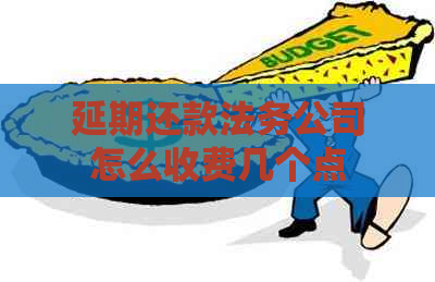 延期还款法务公司怎么收费几个点