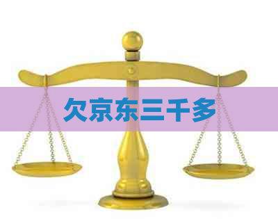 欠京东三千多