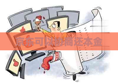 京东可以协商还本金