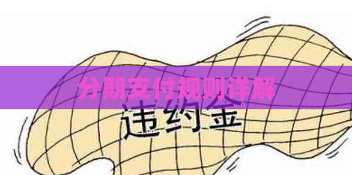 分期支付规则详解
