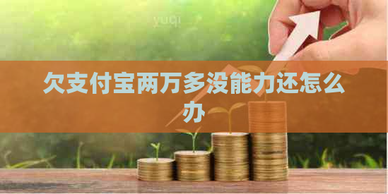 欠支付宝两万多没能力还怎么办