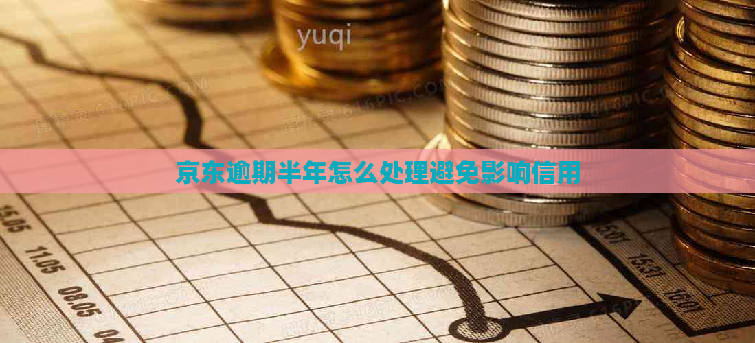 京东逾期半年怎么处理避免影响信用