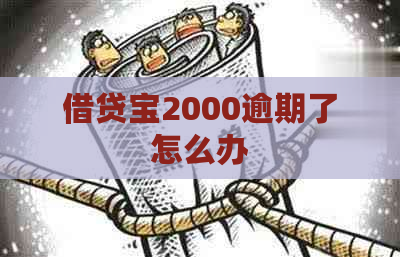 借贷宝2000逾期了怎么办