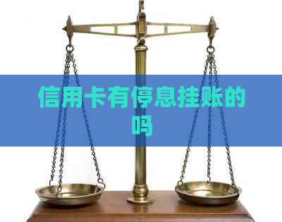 信用卡有停息挂账的吗