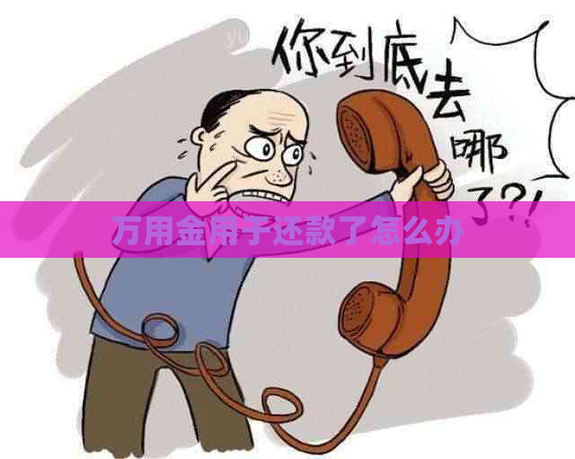 万用金用于还款了怎么办