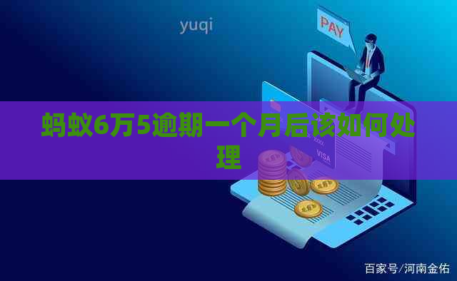 蚂蚁6万5逾期一个月后该如何处理