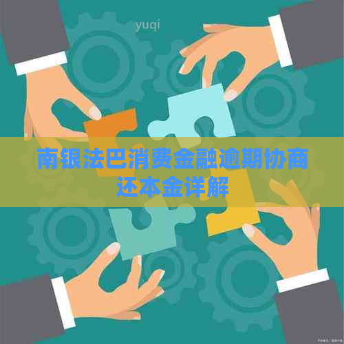 南银法巴消费金融逾期协商还本金详解