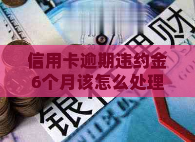 信用卡逾期违约金6个月该怎么处理