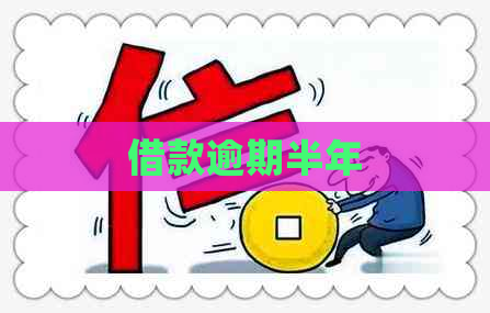 借款逾期半年