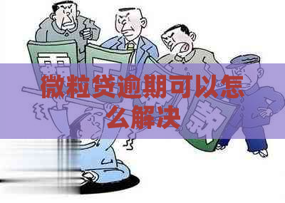 微粒贷逾期可以怎么解决