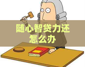随心智贷力还怎么办
