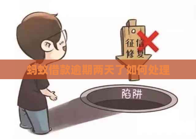 蚂蚁借款逾期两天了如何处理