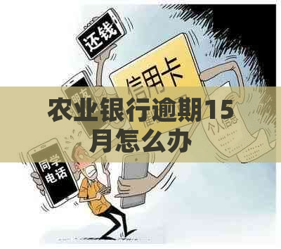 农业银行逾期15月怎么办