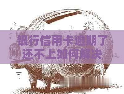银行信用卡逾期了还不上如何解决