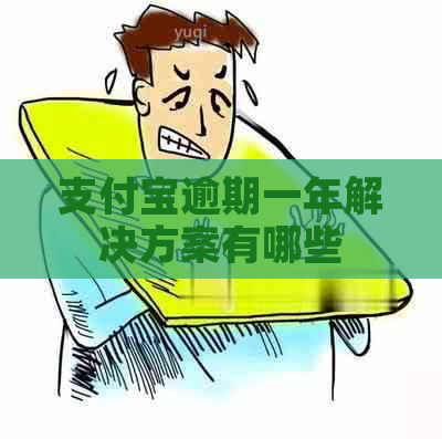支付宝逾期一年解决方案有哪些