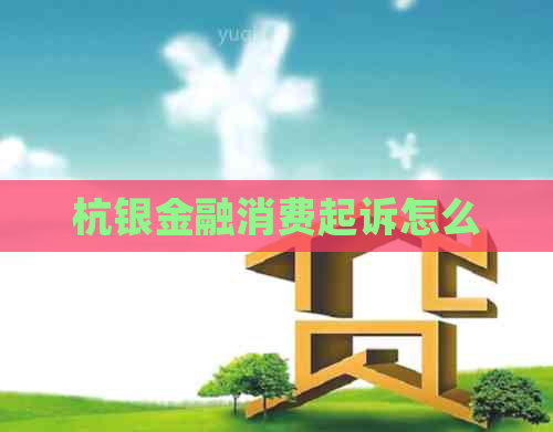 杭银金融消费起诉怎么