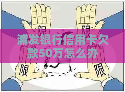浦发银行信用卡欠款50万怎么办