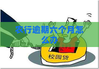 农行逾期六个月怎么办