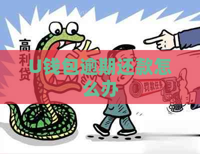 U钱包逾期还款怎么办