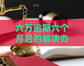 六万逾期六个月后的解决办法