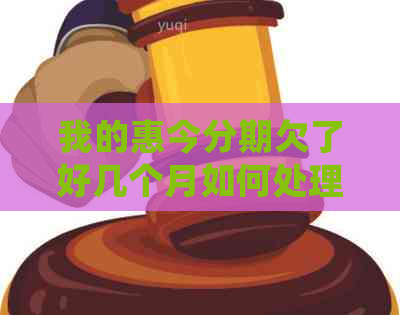 我的惠今分期欠了好几个月如何处理