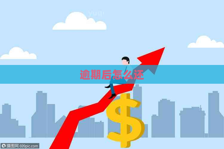 逾期后怎么还