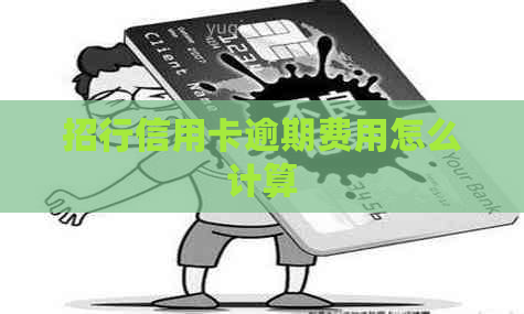 招行信用卡逾期费用怎么计算
