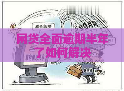 网贷全面逾期半年了如何解决