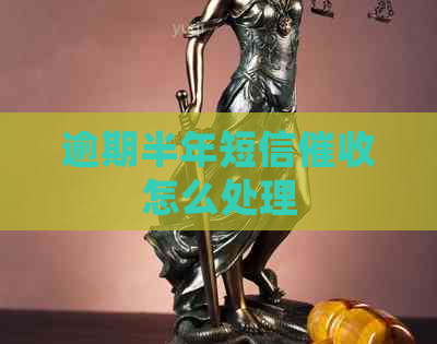 逾期半年短信怎么处理