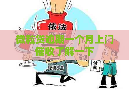 微粒贷逾期一个月上门了解一下