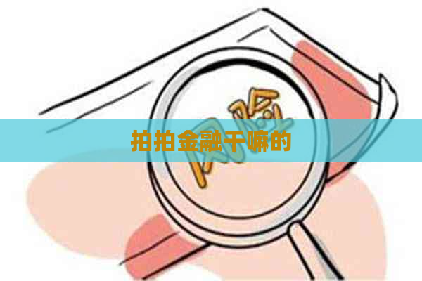 拍拍金融干嘛的
