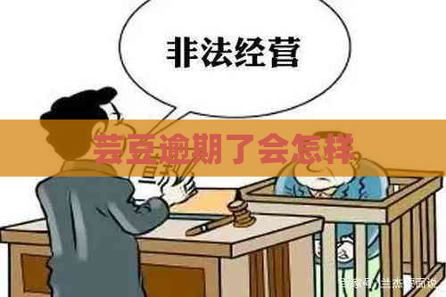 芸豆逾期了会怎样
