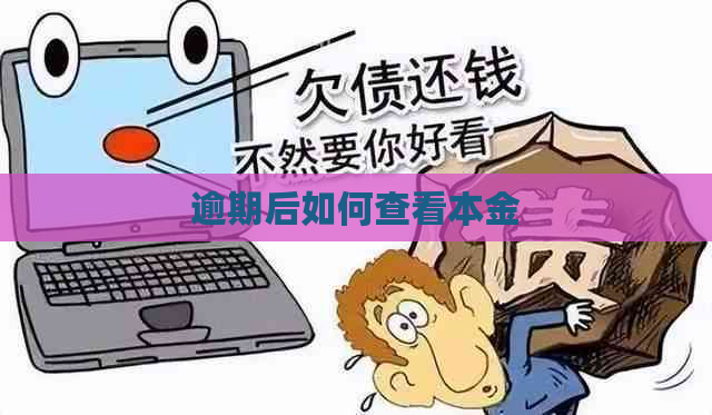 逾期后如何查看本金