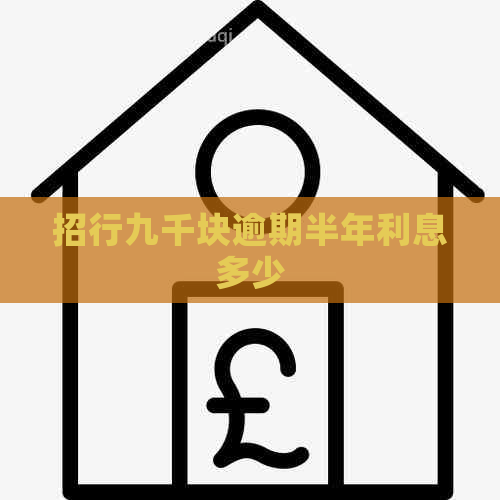 招行九千块逾期半年利息多少