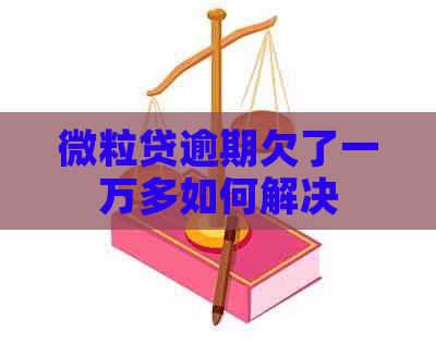 微粒贷逾期欠了一万多如何解决