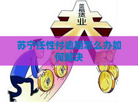 苏宁任性付逾期怎么办如何解决