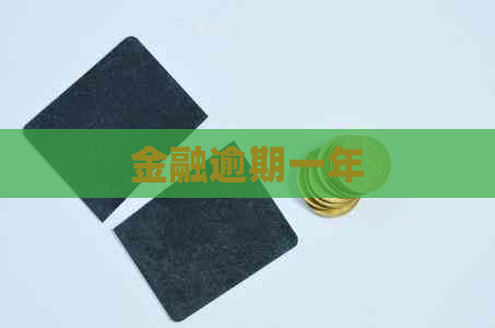 金融逾期一年