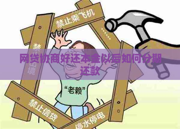 网贷协商好还本金以后如何分期还款