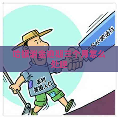 哈银消金逾期三个月怎么处理