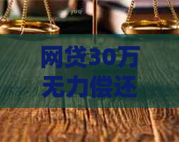 网贷30万无力偿还案例分析及解决方案