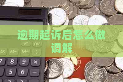 逾期起诉后怎么做调解