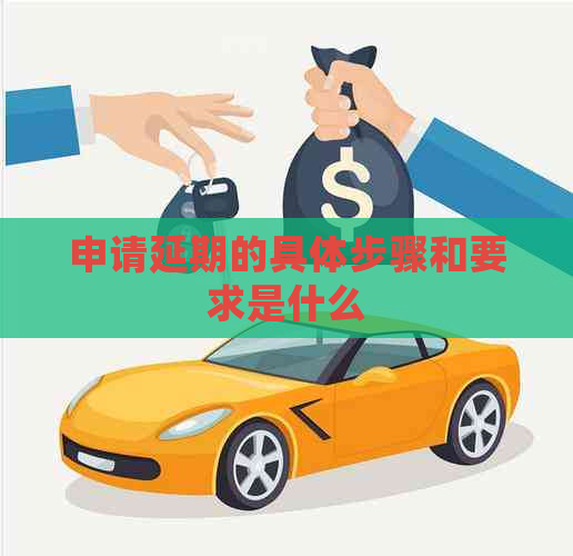申请延期的具体步骤和要求是什么