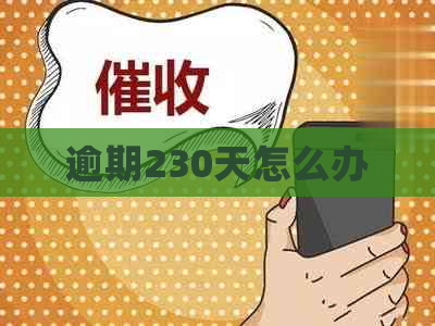 逾期230天怎么办