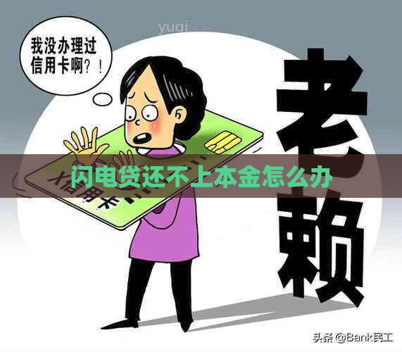 闪电贷还不上本金怎么办