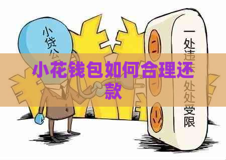小花钱包如何合理还款