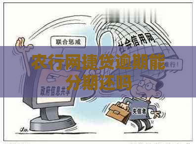 农行网捷贷逾期能分期还吗